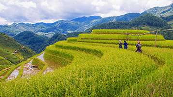 Northern Vietnam Overview