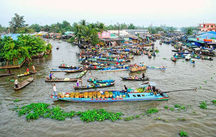 Best Nature Experiences in the Mekong Delta