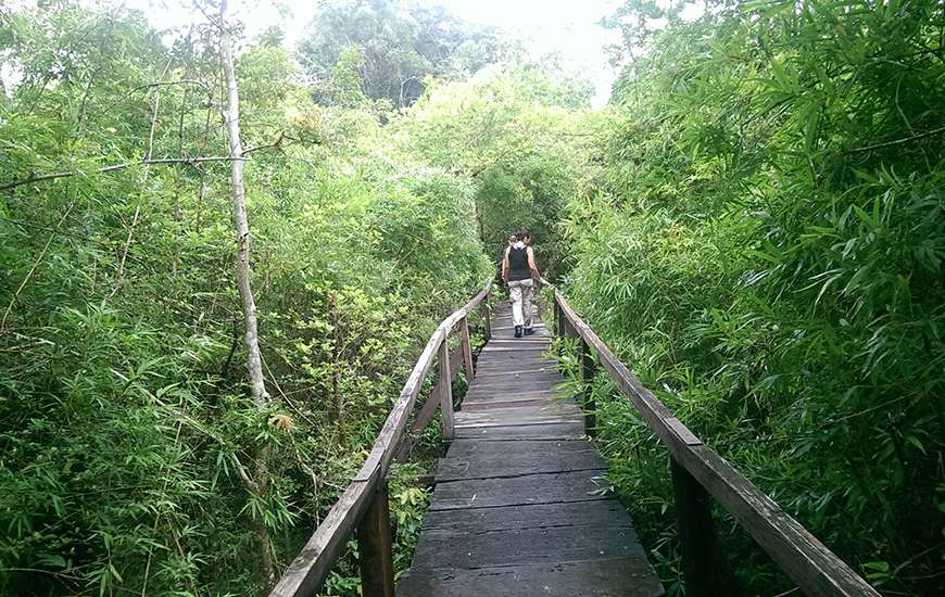 Cat Tien National Park