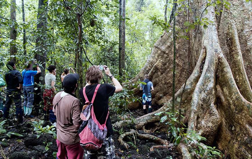 Cat Tien is perhaps the Vietnamese National Park