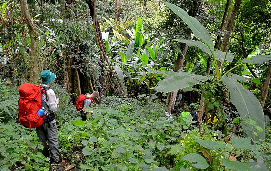 Trekking and Nature in Northern Thailand