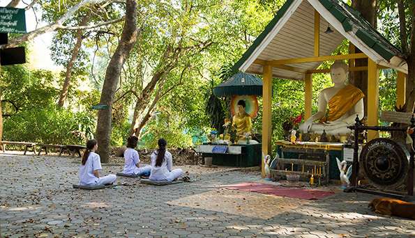 Meditation in Chiang Mai