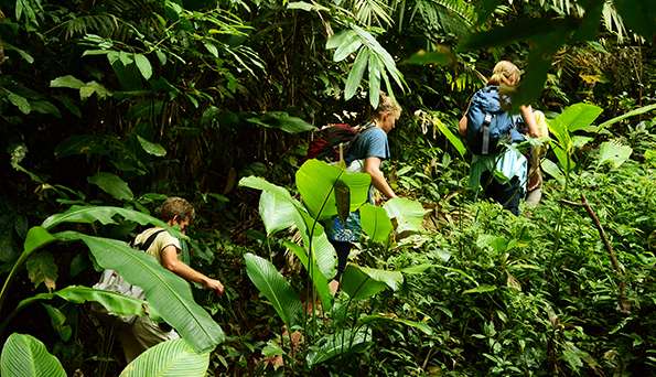 Trekking and Nature in Northern Laos