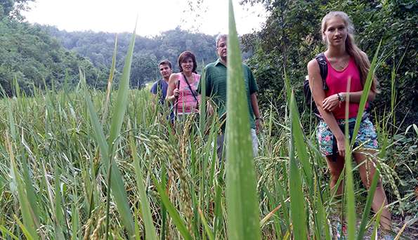 Trekking and Nature in Northern Thailand