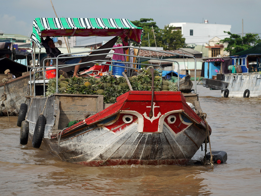 mekong-delta