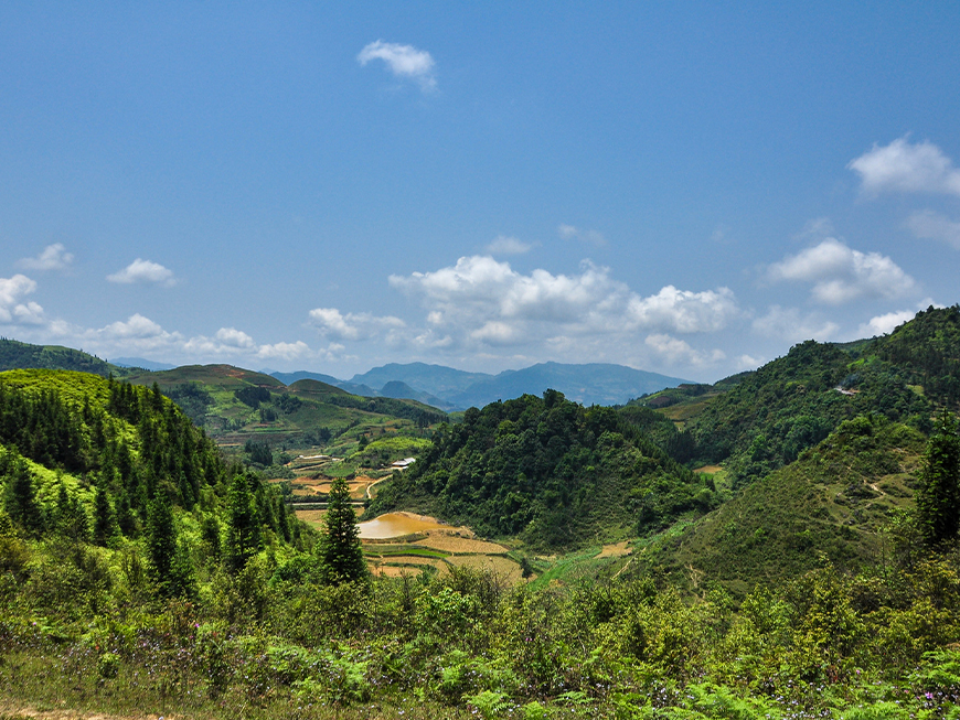 sapa