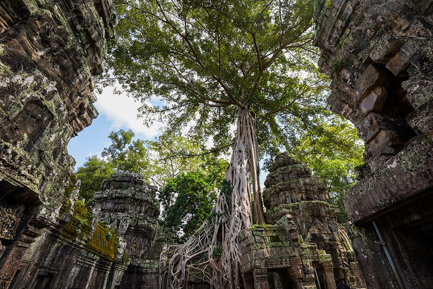 ta-prohm